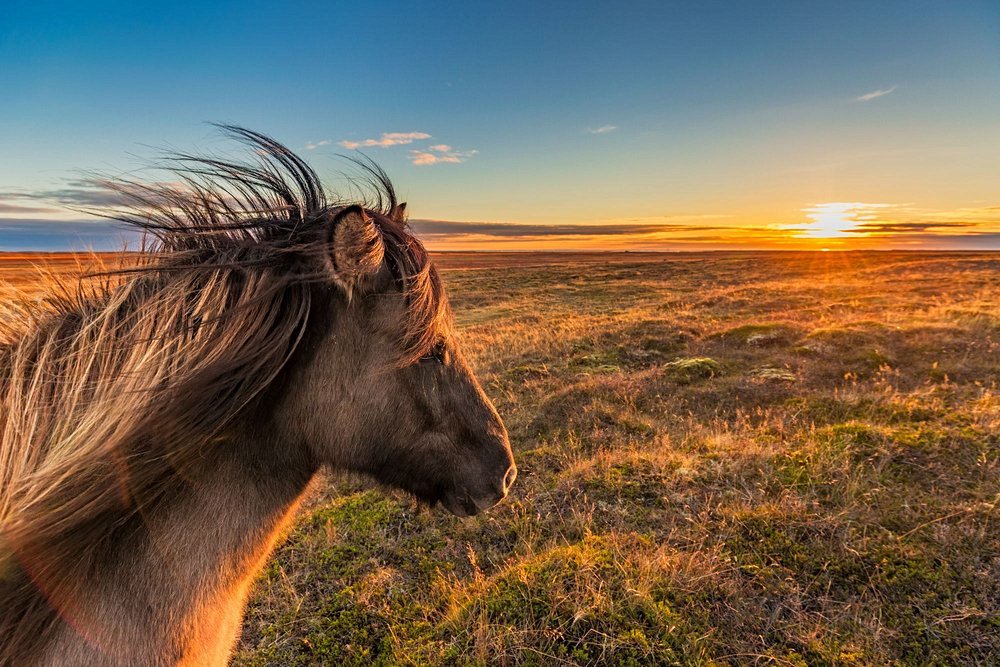 Islande au mois de  octobre
