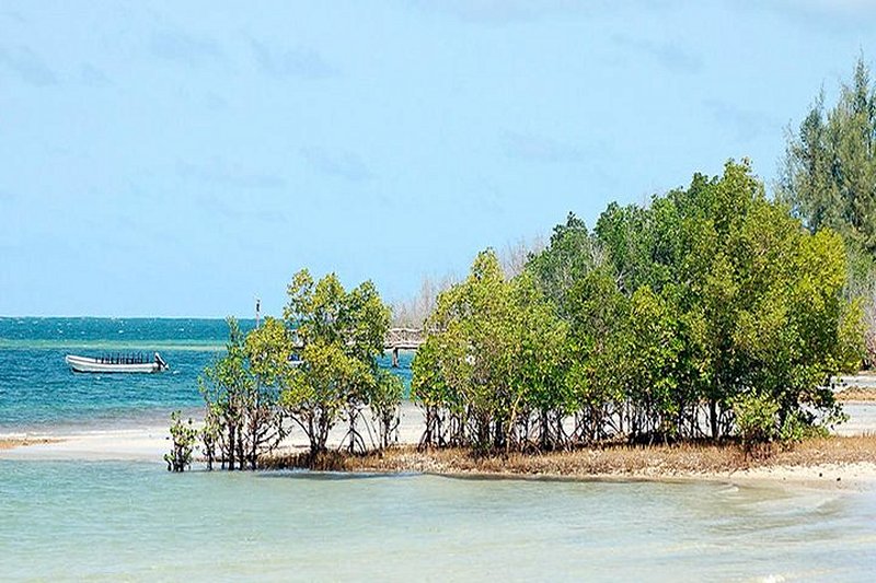 plage Funzi island