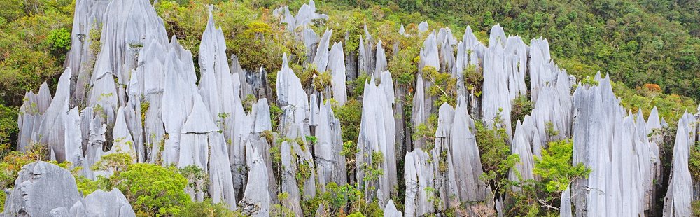 Parc national du Gunung Mulu