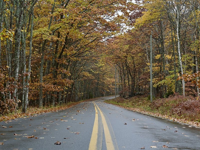 Parc national des Great Smoky Mountains