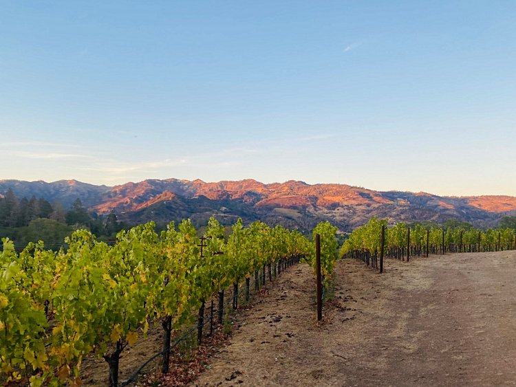 Route des vins de Napa Valley - États-Unis