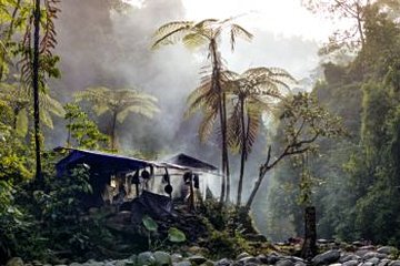 Parc national de Gunung Leuser