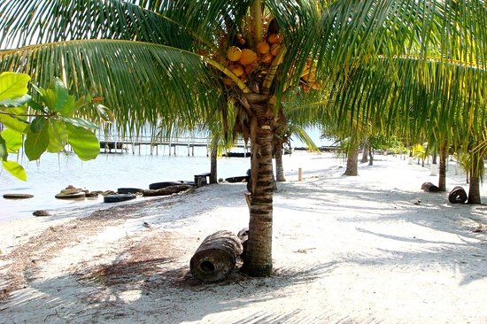 Les plages de Puerto Barrios