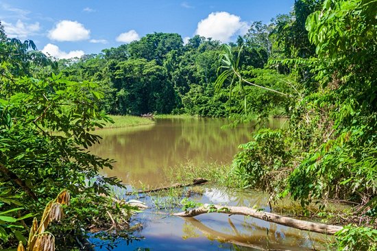Parc national Madidi