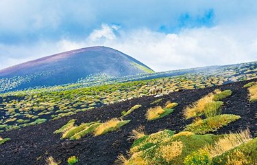 Les paysages volcaniques de l'Etna