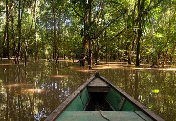 Amazonie colombienne