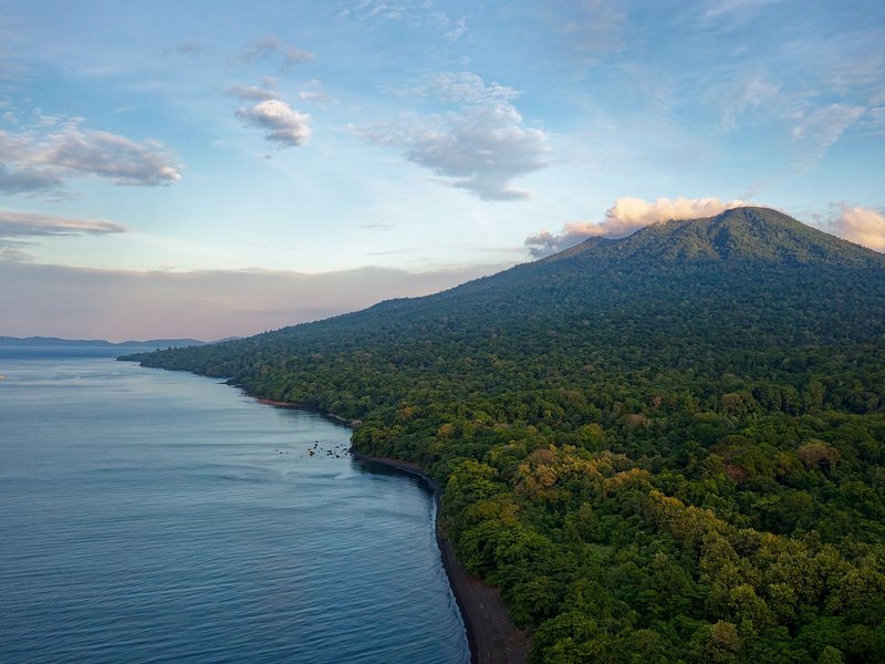 Tangkoko