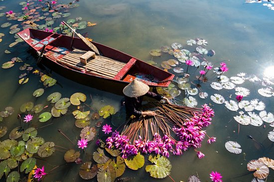 Ninh Bình et les grottes de Tam Coc