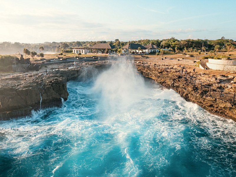 Admirer Devil’s Tear 