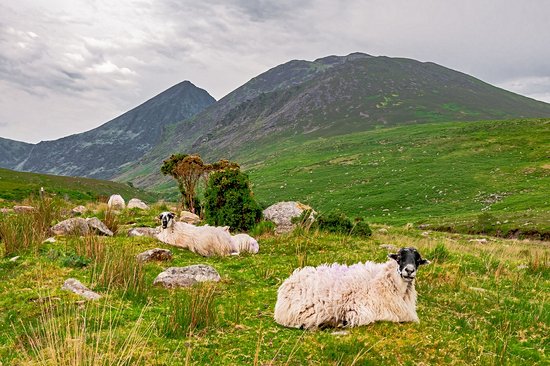 Carrantuohill