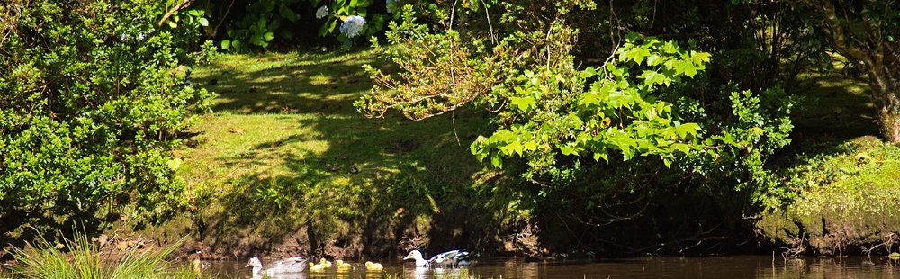 Lagoa das Patas