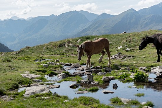Le parc naturel de la vallée de Sorteny