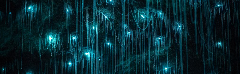Caves de Waitomo