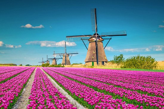 Kinderdijk