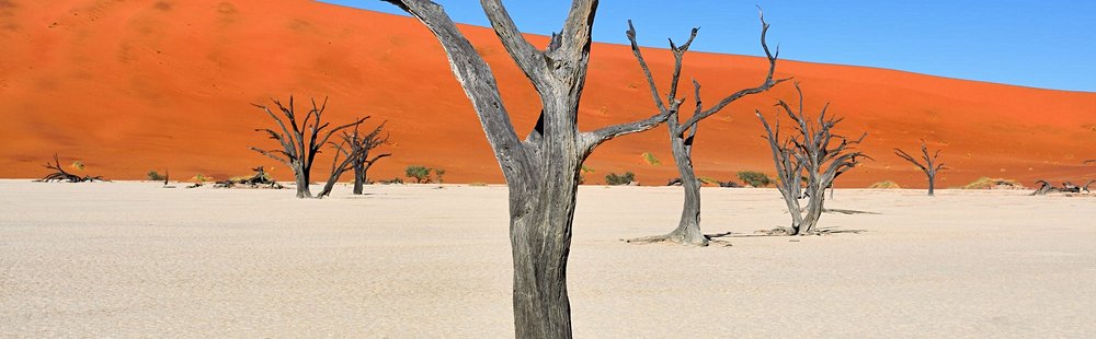 Deadvlei