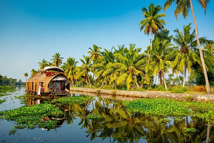 Kerala – Inde du Sud 3