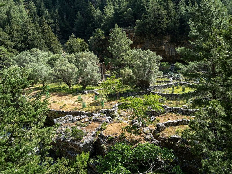 Ancien village de Samaria