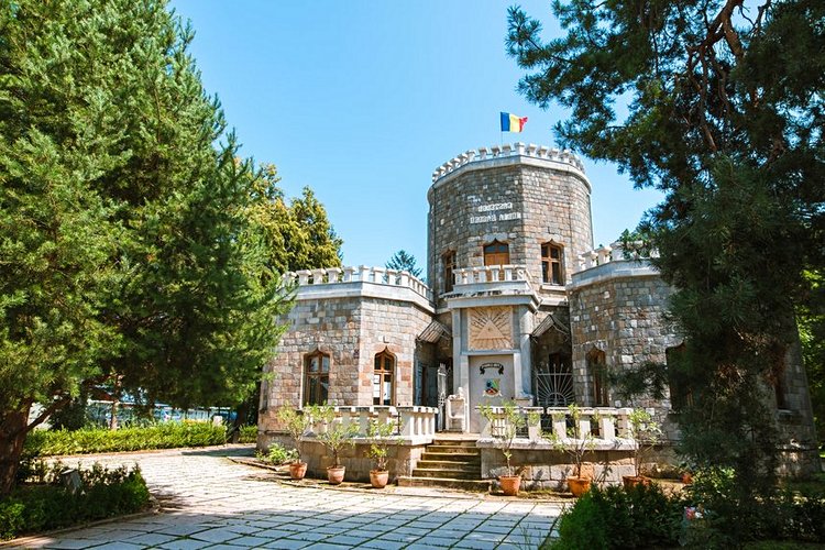 Le château d'Iulia Hasdeu, Campina