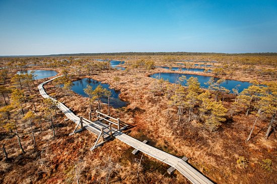 Parc national de Ķemeri