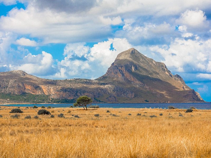 Réserve du Monte Cofano