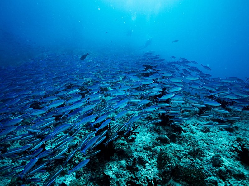 Baa Atoll