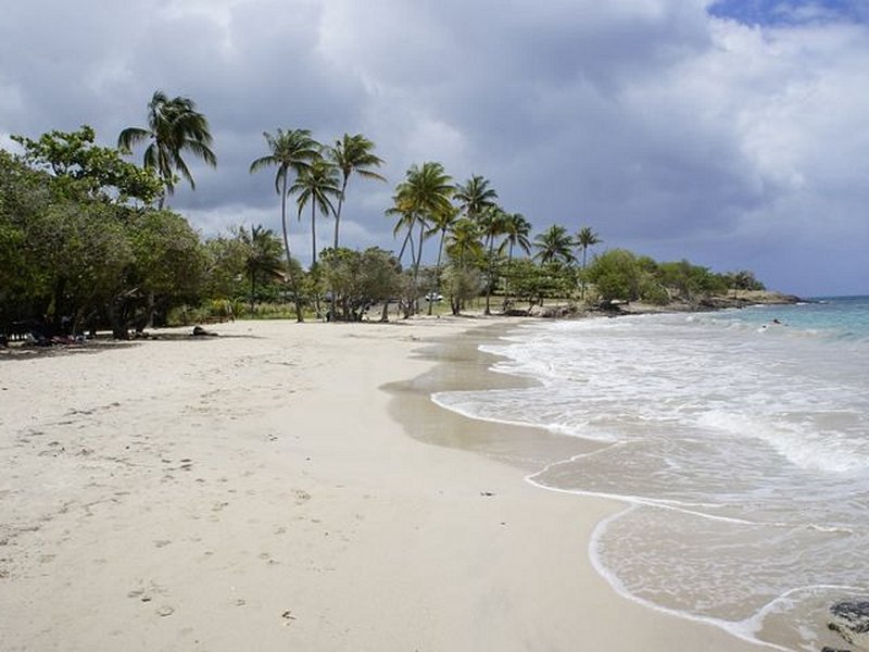 L’Anse Gros raisin