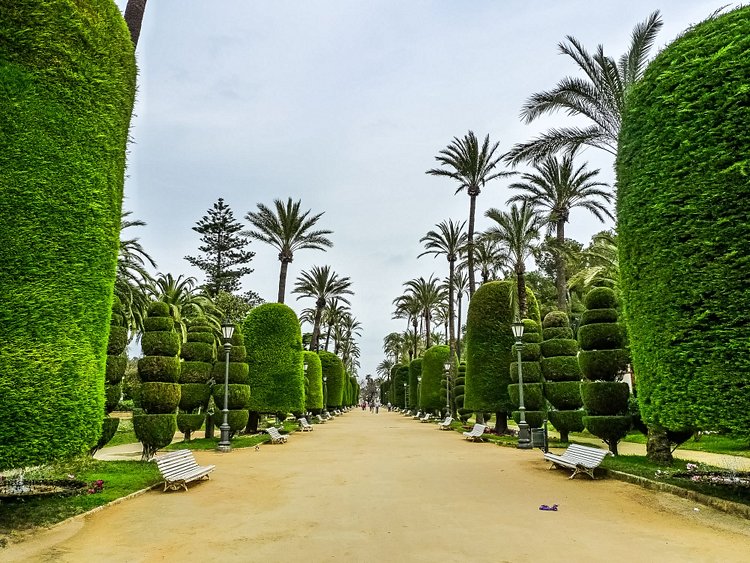 Le parc Genoves
