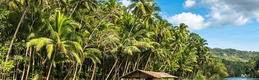 Remonter la Loboc River en croisière