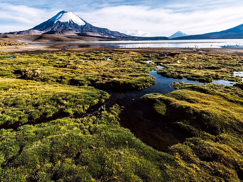 L’Altiplano chilien