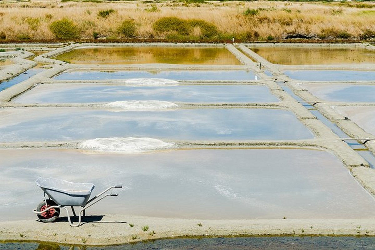 Découvrir les marais salants à Guérande 