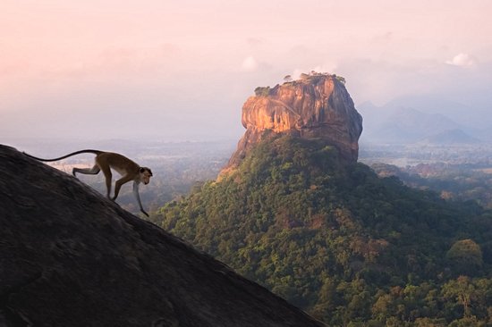 Pidurangala
