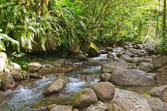 Rivière de Saint-Joseph