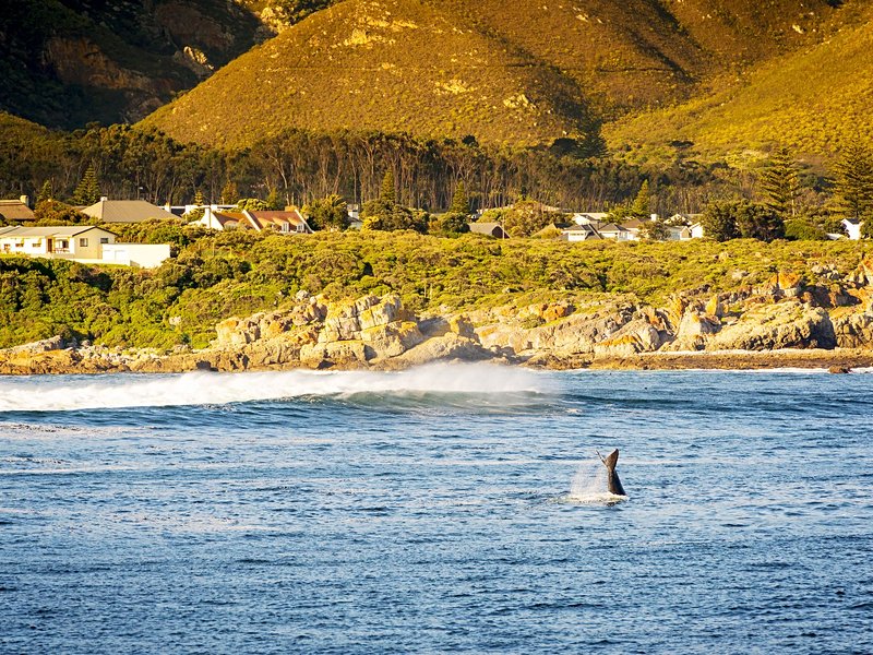 Région d’Hermanus