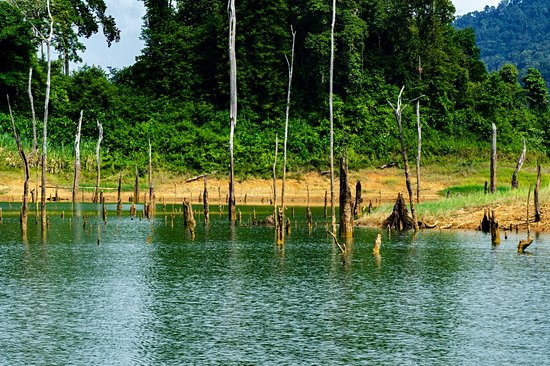 Royal Belum State Park – Perak