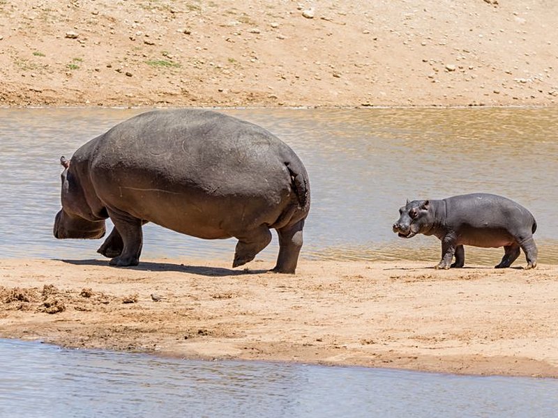 La bande de Caprivi