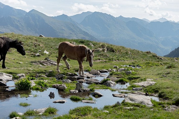 Le parc naturel de la vallée de Sorteny