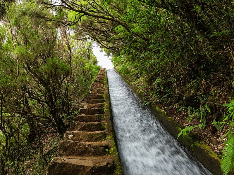 PR6.2 : Levada do Alecrim