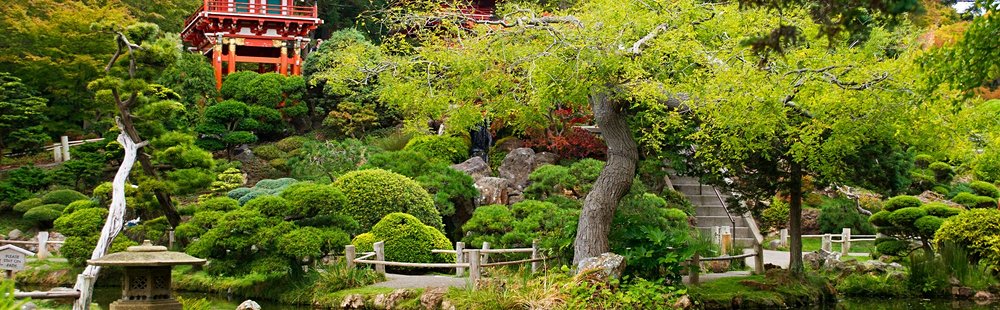 Le Golden Gate Park