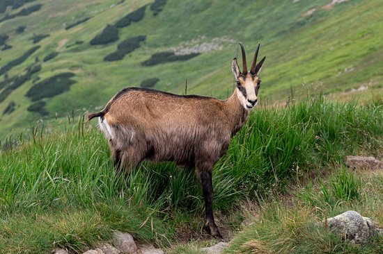 Parc national des Basses Tatras