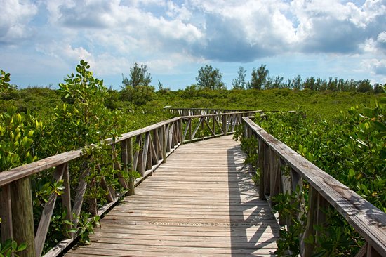 Parc national de Lucayan