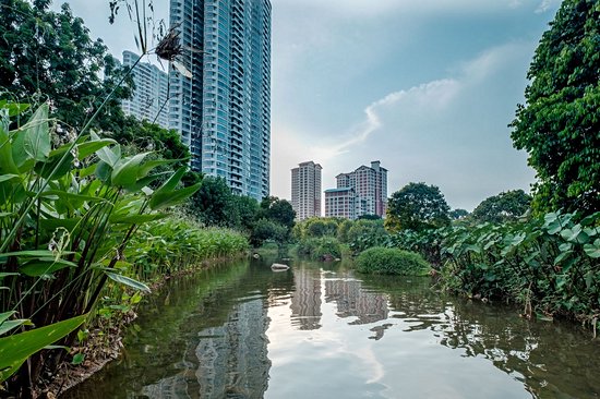 Bishan Park