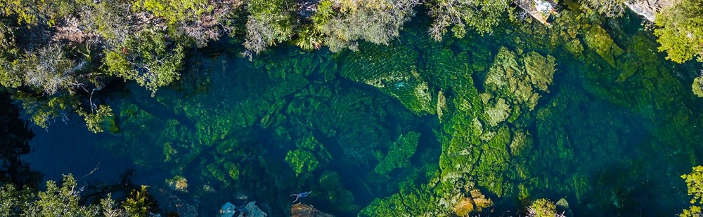Cenote Jardín del Eden, Playa del Carmen
