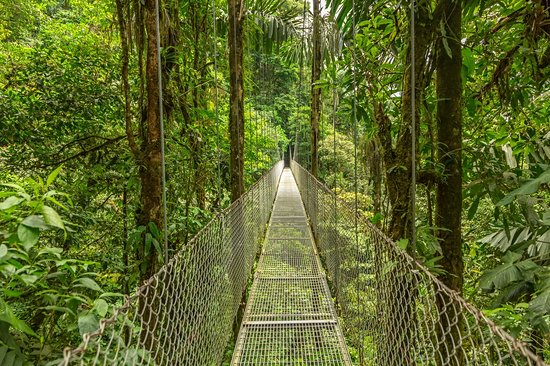 Le Monteverde