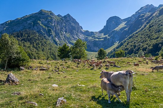 Parc naturel de Cadí-Moixeró