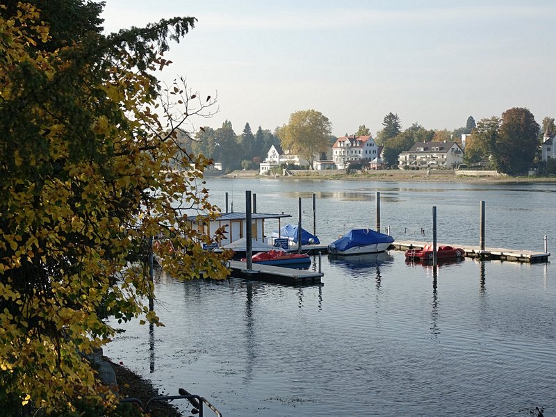 La rando préhistorique : les maisons sur pilotis du lac de Constance