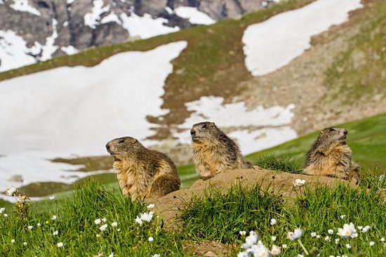 Parc national du Grand-Paradis
