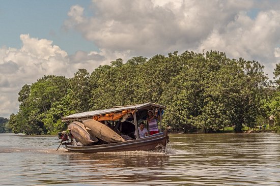 Rivière Yavari