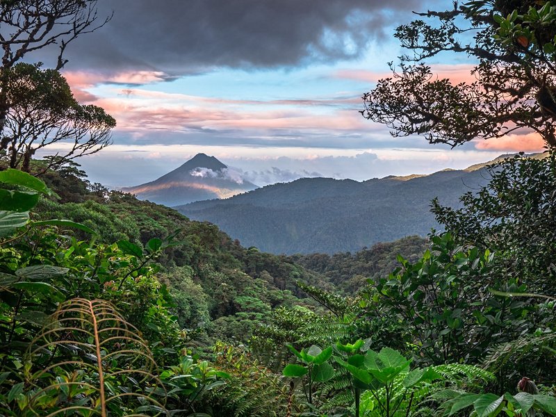 Le Monteverde