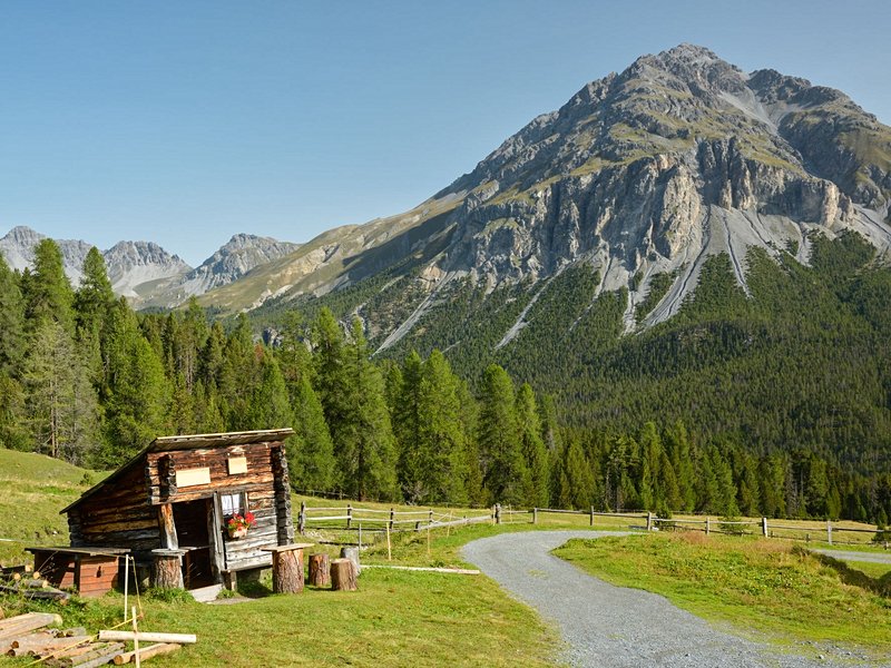 Parc national Suisse