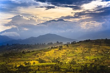 Parc national Rwenzori Mountains